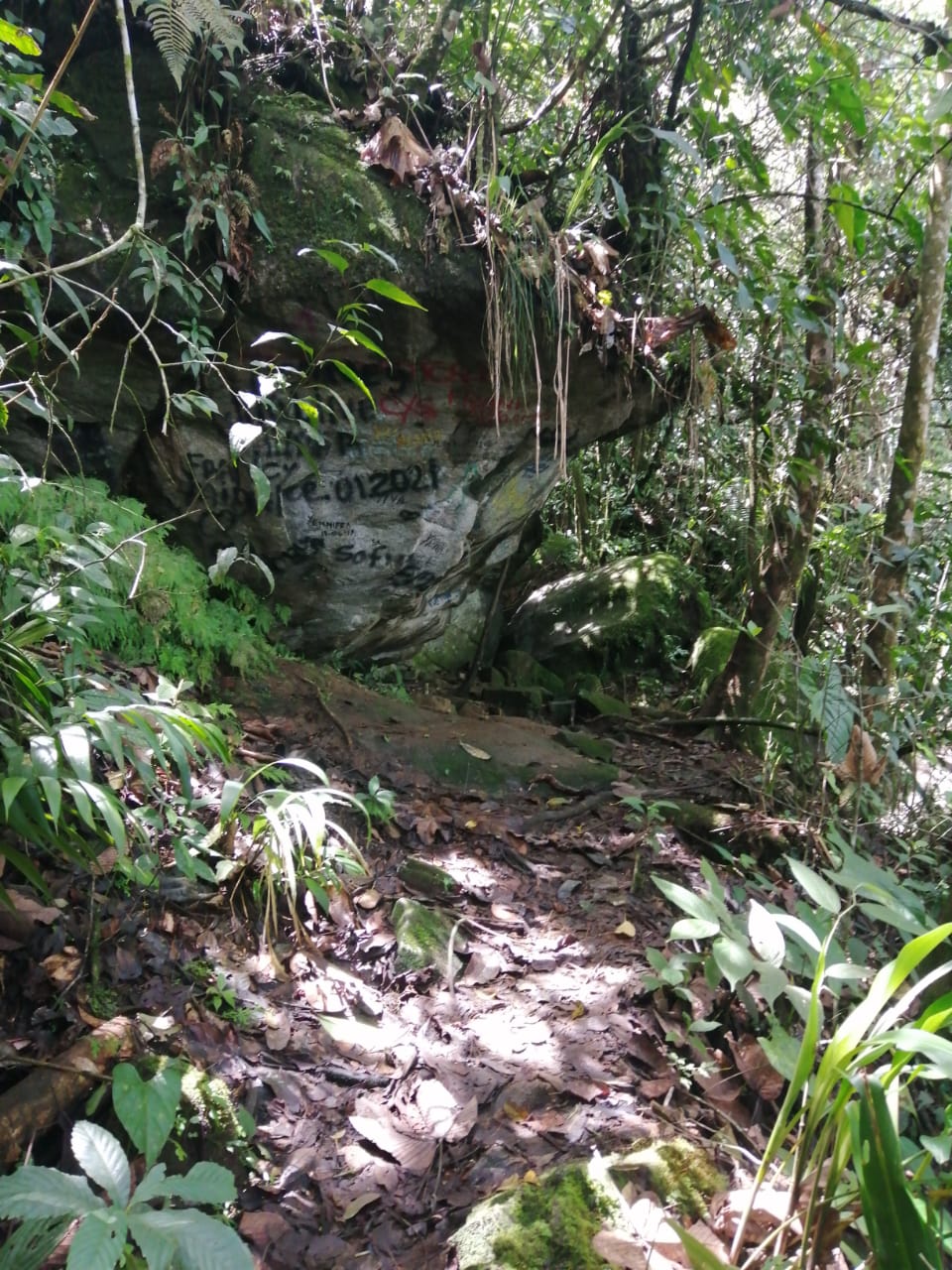 Cueva-Natural